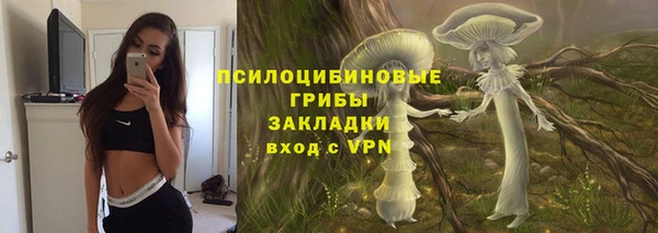 крисы Белокуриха