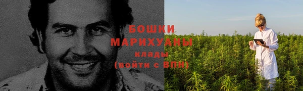 крисы Белокуриха
