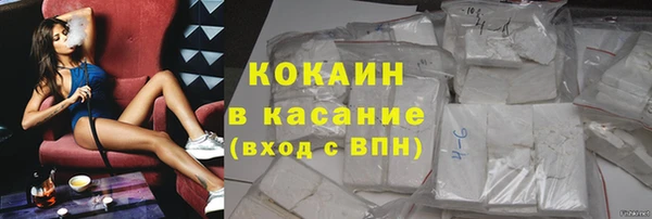 твердый Богородск