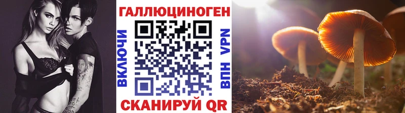 даркнет сайт  Балашов  hydra ССЫЛКА  Галлюциногенные грибы Psilocybe 